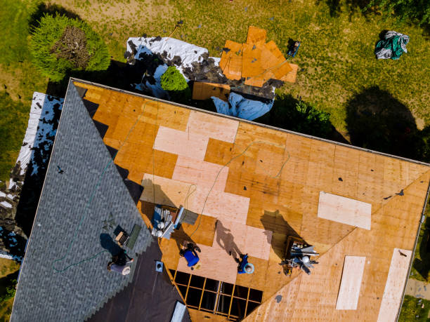 Best Flat Roof Repair Services  in White Pigeon, MI
