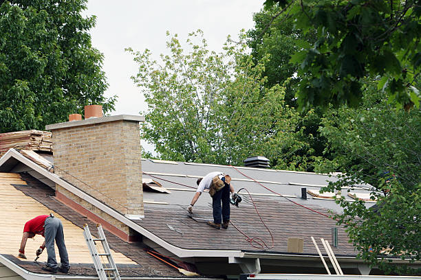 Best Roof Restoration Services  in White Pigeon, MI