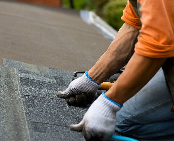 Best Roof Waterproofing Services  in White Pigeon, MI